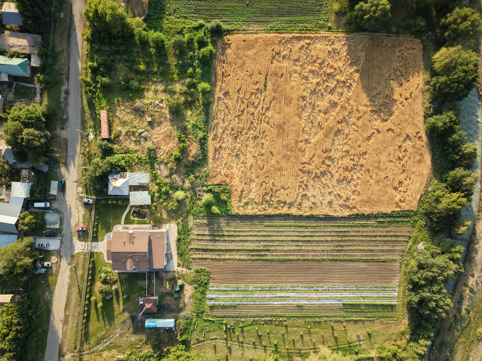 Open fields with the mountains behind at sunset